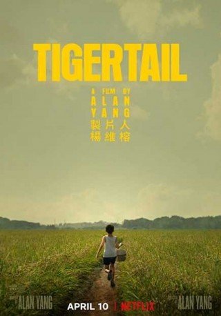 فيلم Tigertail 2020 مترجم (2020)