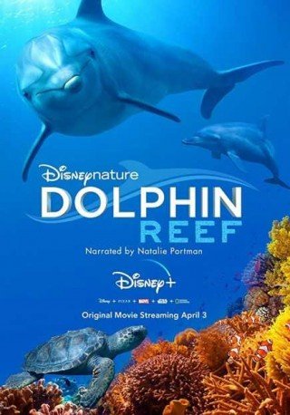 فيلم Dolphin Reef 2020 مترجم (2020)