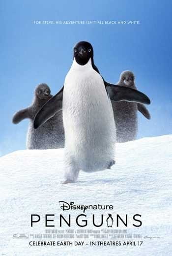 مشاهدة فيلم Penguins 2019 مترجم (2021)