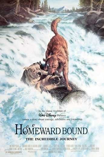 مشاهدة فيلم Homeward Bound The Incredible Journey 1993 مترجم (2021)