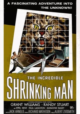 فيلم The Incredible Shrinking Man 1957 مترجم (1957)