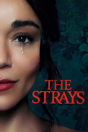 مشاهدة فيلم The Strays 2023 مترجم (2023)