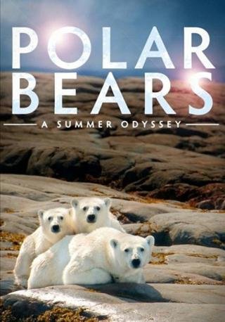 فيلم Polar Bears A Summer Odyssey 2012 مترجم (2012)
