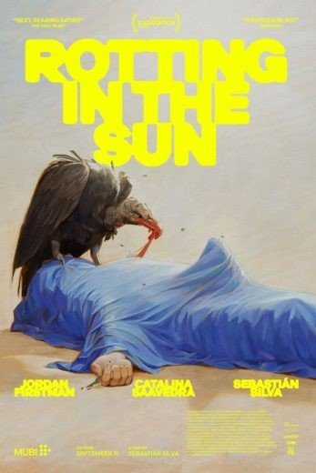 مشاهدة فيلم Rotting in the Sun 2023 مترجم (2023)