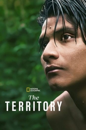 مشاهدة فيلم The Territory 2022 مترجم (2023)