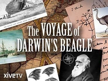 مشاهدة فيلم Darwin & the Beagle’s Scandal 2012 مترجم (2021)
