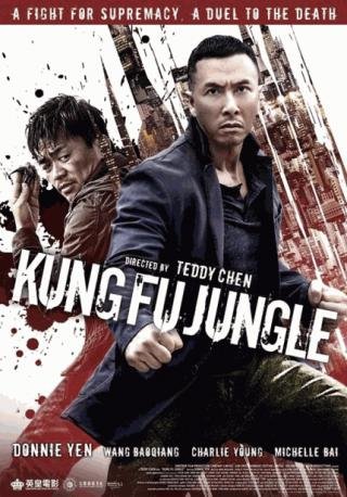 فيلم Kung Fu Jungle 2014 مترجم (2014)