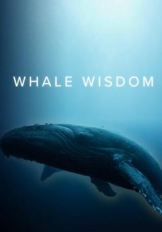 فيلم Whale Wisdom 2019 مترجم (2020)