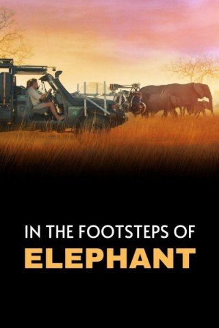 فيلم In the Footsteps of Elephant 2020 مترجم (2020)