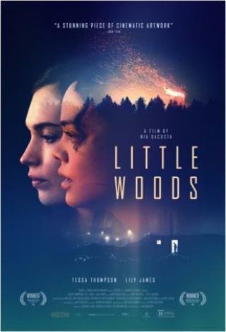 فيلم Little Woods 2018 مترجم (2018)