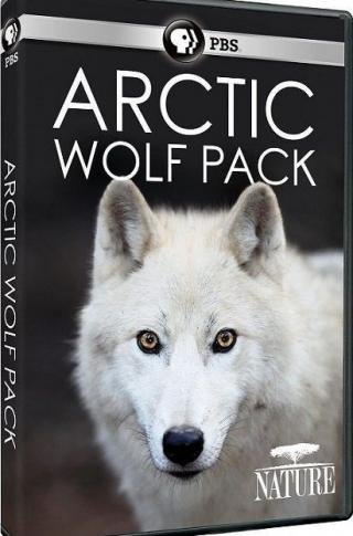 فيلم PBS Nature Arctic Wolf Pack 2018 مترجم (2018)