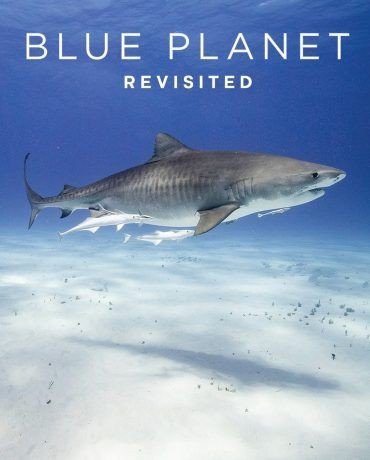 مشاهدة فيلم Blue Planet Revisited 2020 الجزء الاول مترجم (2021)