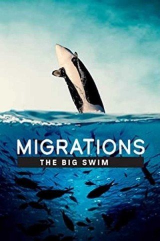 فيلم Migrations: The Big Swim 2020 مترجم (2020)