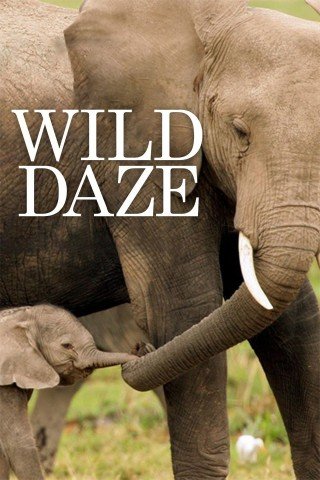 فيلم Wild Daze 2020 مترجم (2020)