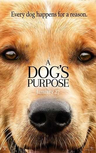 مشاهدة فيلم A Dog’s Purpose 2017 مترجم (2021)